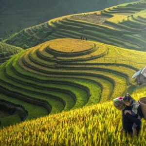 Tour Hà Nội - Lào Cai - Sapa - Hạ Long