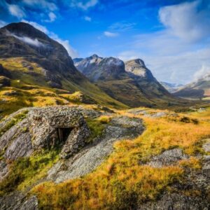 Tour Anh - Scotland [Lễ hội hoa Chelsea]